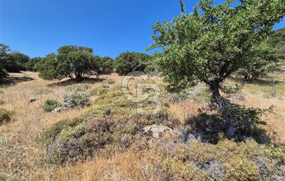 ÇANAKKALE ASSOS- PANORAMİK DENİZ MANZARALI 9 DÖNÜM SATILIK ARAZİ