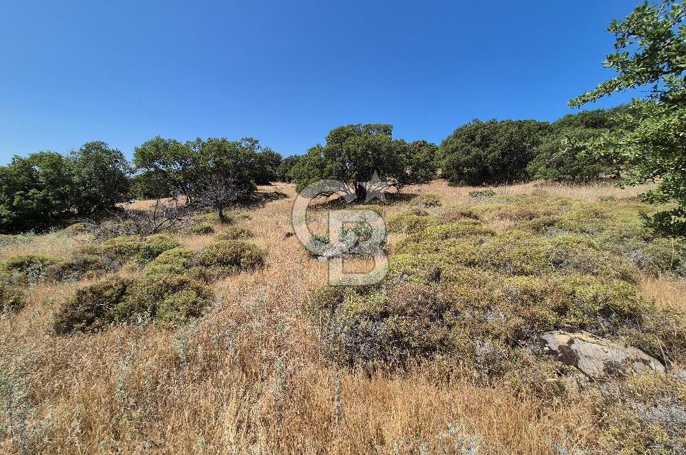 ÇANAKKALE ASSOS- PANORAMİK DENİZ MANZARALI 9 DÖNÜM SATILIK ARAZİ