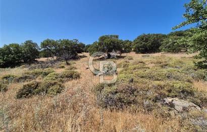 ÇANAKKALE ASSOS- PANORAMİK DENİZ MANZARALI 9 DÖNÜM SATILIK ARAZİ