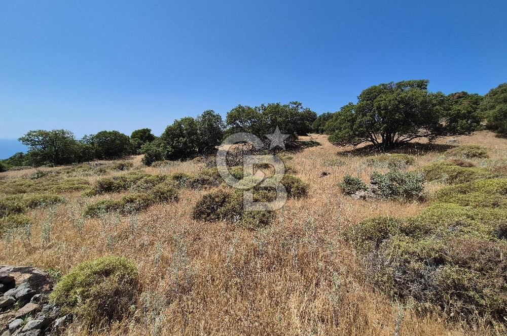 ÇANAKKALE ASSOS- PANORAMİK DENİZ MANZARALI 9 DÖNÜM SATILIK ARAZİ