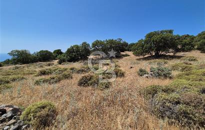 ÇANAKKALE ASSOS- PANORAMİK DENİZ MANZARALI 9 DÖNÜM SATILIK ARAZİ