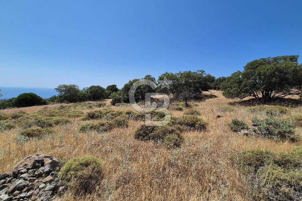 ÇANAKKALE ASSOS- PANORAMİK DENİZ MANZARALI 9 DÖNÜM SATILIK ARAZİ