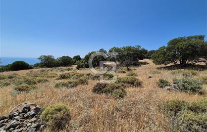 ÇANAKKALE ASSOS- PANORAMİK DENİZ MANZARALI 9 DÖNÜM SATILIK ARAZİ