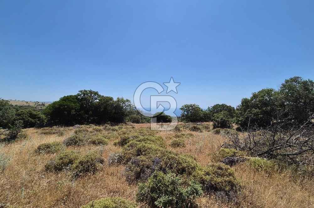 ÇANAKKALE ASSOS- PANORAMİK DENİZ MANZARALI 9 DÖNÜM SATILIK ARAZİ