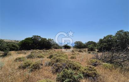 ÇANAKKALE ASSOS- PANORAMİK DENİZ MANZARALI 9 DÖNÜM SATILIK ARAZİ