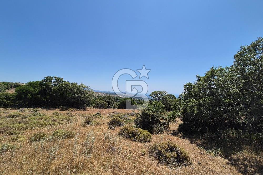 ÇANAKKALE ASSOS- PANORAMİK DENİZ MANZARALI 9 DÖNÜM SATILIK ARAZİ