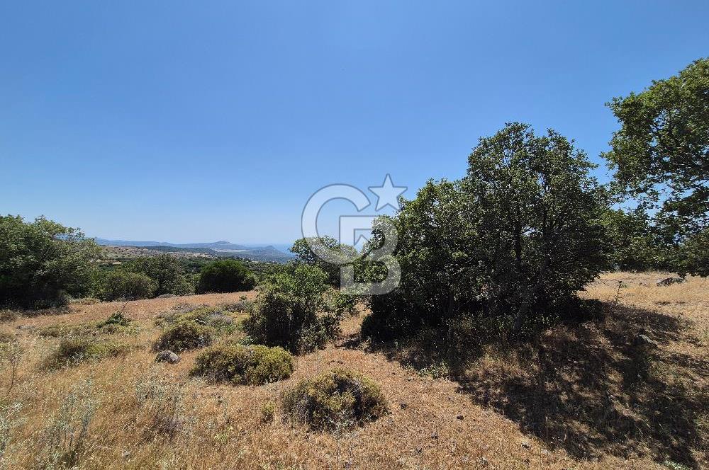 ÇANAKKALE ASSOS- PANORAMİK DENİZ MANZARALI 9 DÖNÜM SATILIK ARAZİ