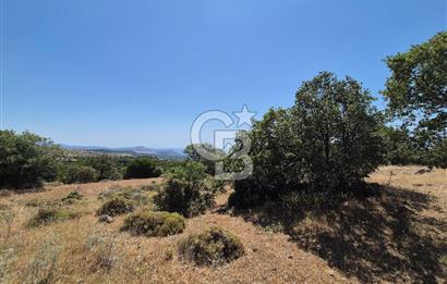 ÇANAKKALE ASSOS- PANORAMİK DENİZ MANZARALI 9 DÖNÜM SATILIK ARAZİ