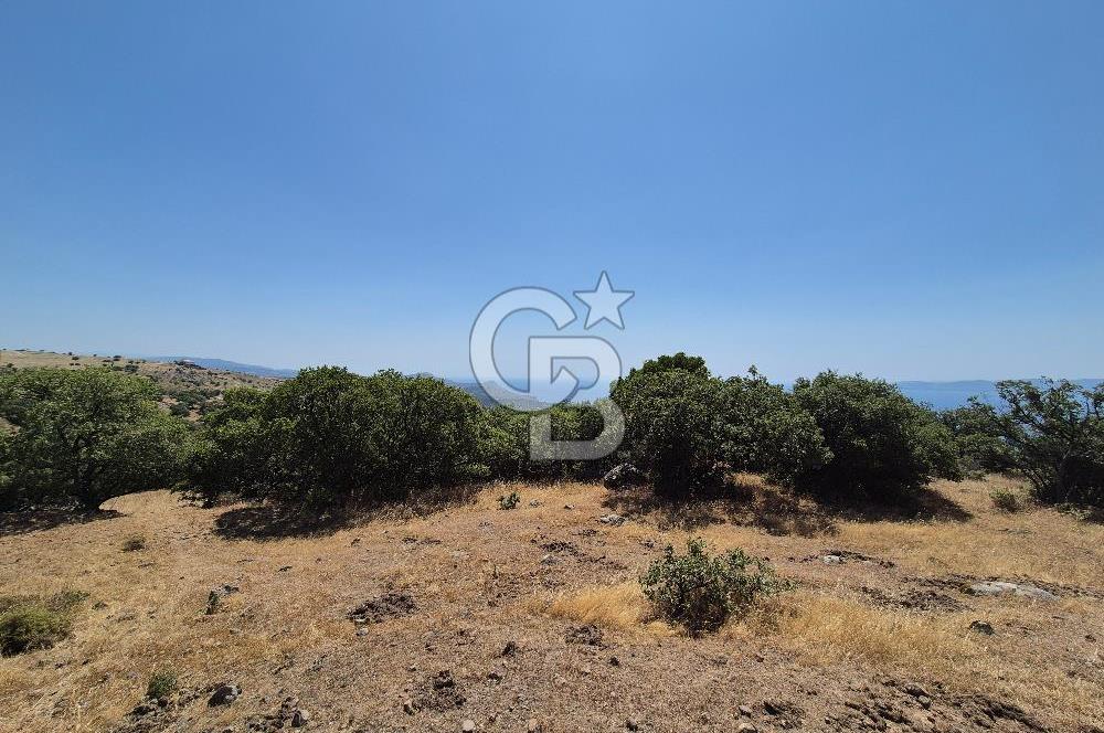 ÇANAKKALE ASSOS- PANORAMİK DENİZ MANZARALI 9 DÖNÜM SATILIK ARAZİ