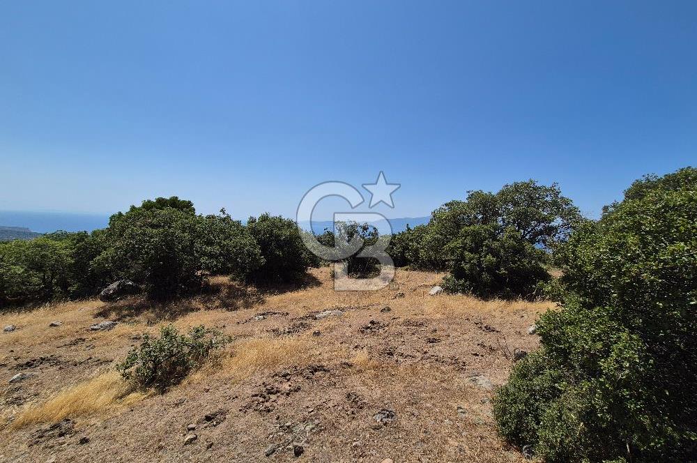 ÇANAKKALE ASSOS- PANORAMİK DENİZ MANZARALI 9 DÖNÜM SATILIK ARAZİ