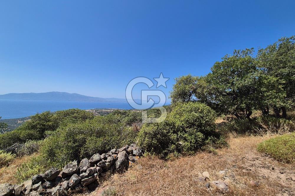 ÇANAKKALE ASSOS- PANORAMİK DENİZ MANZARALI 9 DÖNÜM SATILIK ARAZİ