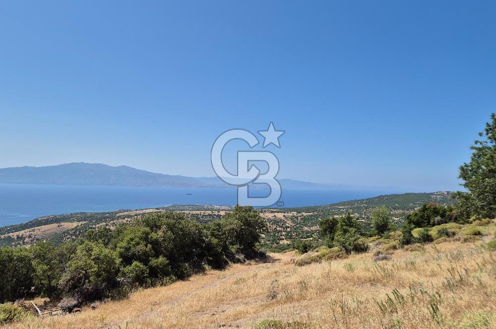 ÇANAKKALE ASSOS- PANORAMİK DENİZ MANZARALI 9 DÖNÜM SATILIK ARAZİ