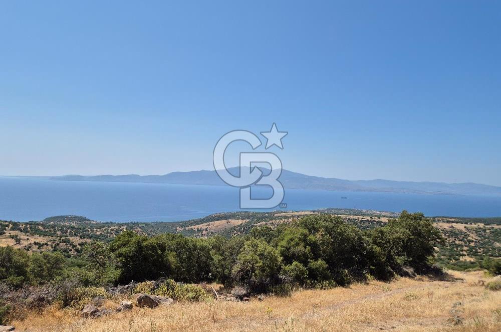 ÇANAKKALE ASSOS- PANORAMİK DENİZ MANZARALI 9 DÖNÜM SATILIK ARAZİ