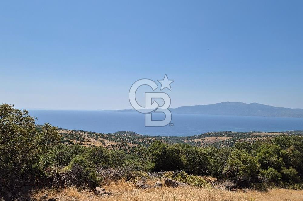 ÇANAKKALE ASSOS- PANORAMİK DENİZ MANZARALI 9 DÖNÜM SATILIK ARAZİ