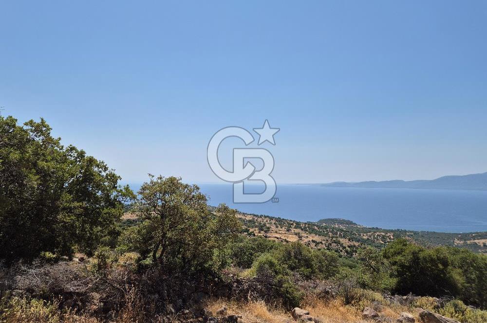 ÇANAKKALE ASSOS- PANORAMİK DENİZ MANZARALI 9 DÖNÜM SATILIK ARAZİ