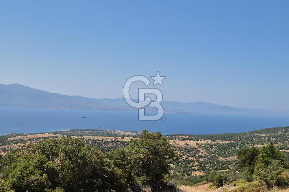 ÇANAKKALE ASSOS- PANORAMİK DENİZ MANZARALI 9 DÖNÜM SATILIK ARAZİ