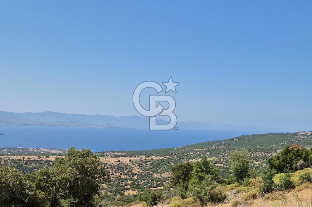ÇANAKKALE ASSOS- PANORAMİK DENİZ MANZARALI 9 DÖNÜM SATILIK ARAZİ