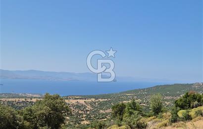 ÇANAKKALE ASSOS- PANORAMİK DENİZ MANZARALI 9 DÖNÜM SATILIK ARAZİ