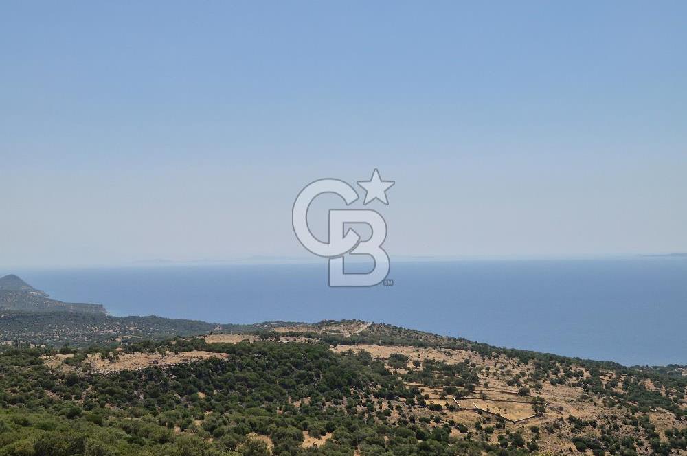 ÇANAKKALE ASSOS- PANORAMİK DENİZ MANZARALI 9 DÖNÜM SATILIK ARAZİ