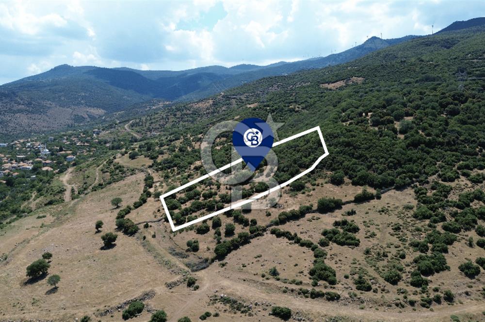 ALİAĞA ÇITAK'TA (8487 M2) SATILIK TARLA