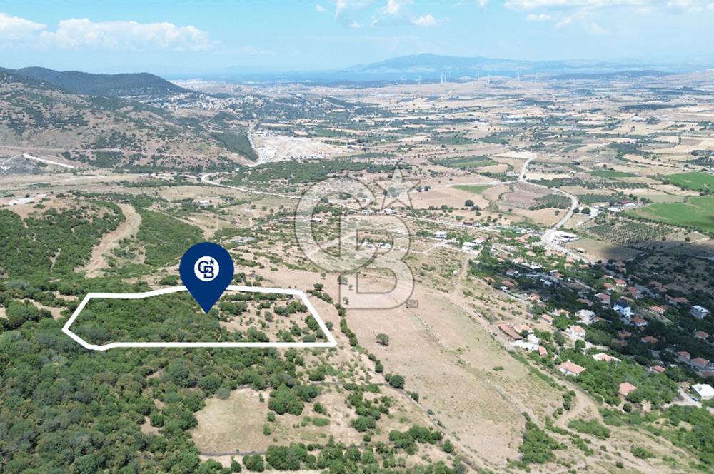ALİAĞA ÇITAK'TA (8487 M2) SATILIK TARLA