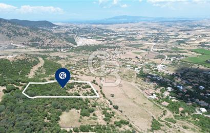 ALİAĞA ÇITAK'TA (8487 M2) SATILIK TARLA