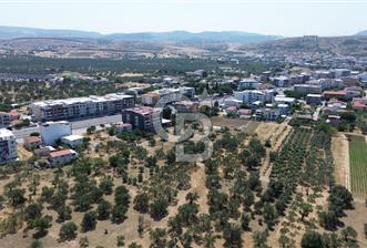 ŞAKRAN'DA İMAR SINIRINDA (723 M2) SATILIK ZEYTİNLİK