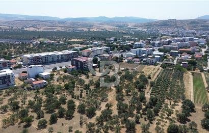 ŞAKRAN'DA İMAR SINIRINDA (723 M2) SATILIK ZEYTİNLİK
