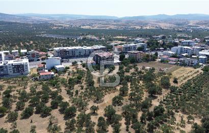ŞAKRAN'DA İMAR SINIRINDA (723 M2) SATILIK ZEYTİNLİK