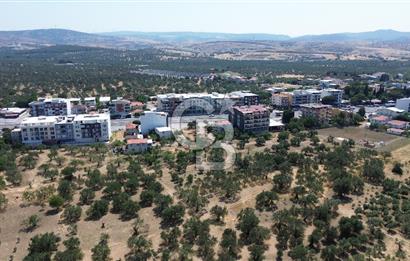 ŞAKRAN'DA İMAR SINIRINDA (723 M2) SATILIK ZEYTİNLİK