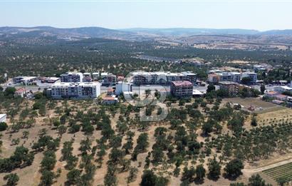 ŞAKRAN'DA İMAR SINIRINDA (723 M2) SATILIK ZEYTİNLİK