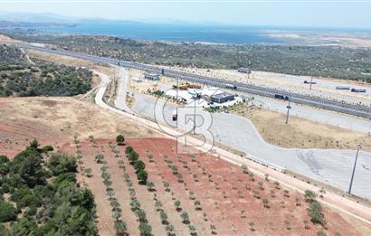 BERGAMA ZEYTİNDAĞ'DA (10700 M2) SATILIK ZEYTİNLİK
