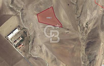 POLATLI ÇİMENCEĞİZ KÖYÜNDE YATIRIMLIK 15.000m2 SATILIK TARLA