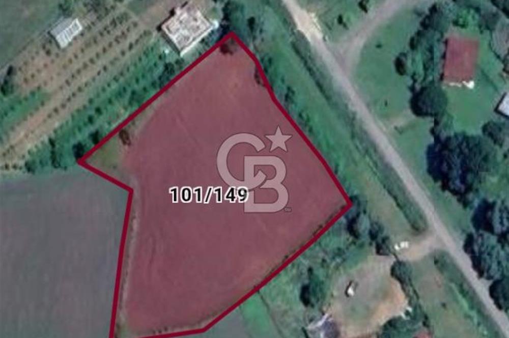 TERME O. SÖĞÜTLÜ MAH. İYİ KONUMDA EV YAPILABİLİR 4644 M2 SATILIK