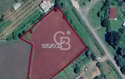 TERME O. SÖĞÜTLÜ MAH. İYİ KONUMDA EV YAPILABİLİR 4644 M2 SATILIK