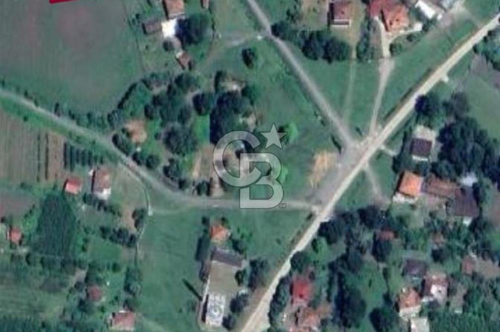 TERME O. SÖĞÜTLÜ MAH. İYİ KONUMDA EV YAPILABİLİR 4644 M2 SATILIK