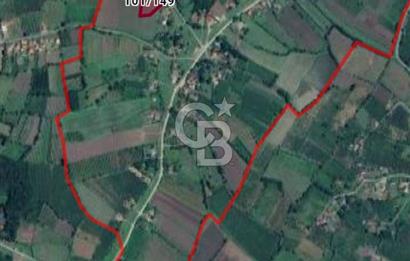 TERME O. SÖĞÜTLÜ MAH. İYİ KONUMDA EV YAPILABİLİR 4644 M2 SATILIK