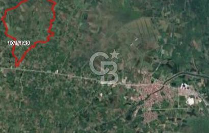 TERME O. SÖĞÜTLÜ MAH. İYİ KONUMDA EV YAPILABİLİR 4644 M2 SATILIK