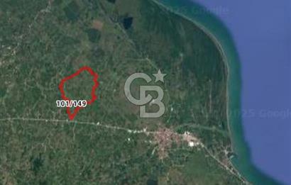 TERME O. SÖĞÜTLÜ MAH. İYİ KONUMDA EV YAPILABİLİR 4644 M2 SATILIK