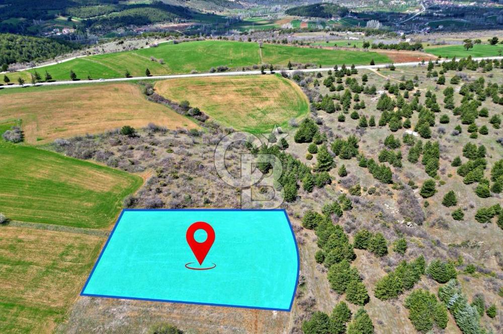 CB OPİA'DAN '' ÇEVRE MAH. 3.706 m² FIRSAT TARLA ''