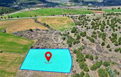 CB OPİA'DAN '' ÇEVRE MAH. 3.706 m² FIRSAT TARLA ''