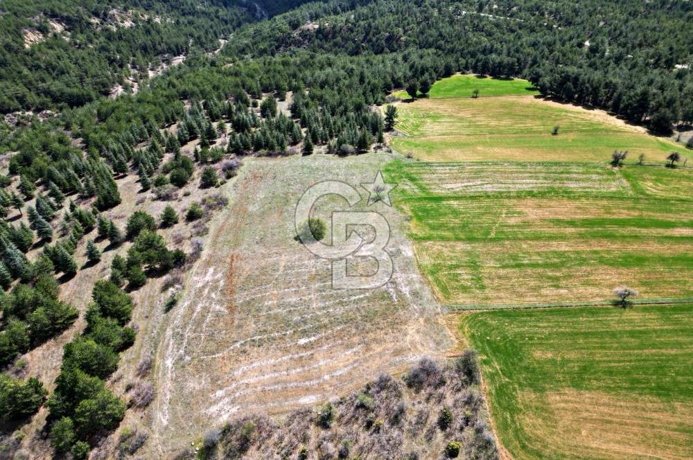 CB OPİA'DAN '' ÇEVRE MAH. 3.706 m² FIRSAT TARLA ''