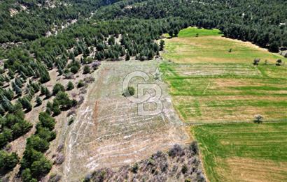 CB OPİA'DAN '' ÇEVRE MAH. 3.706 m² FIRSAT TARLA ''