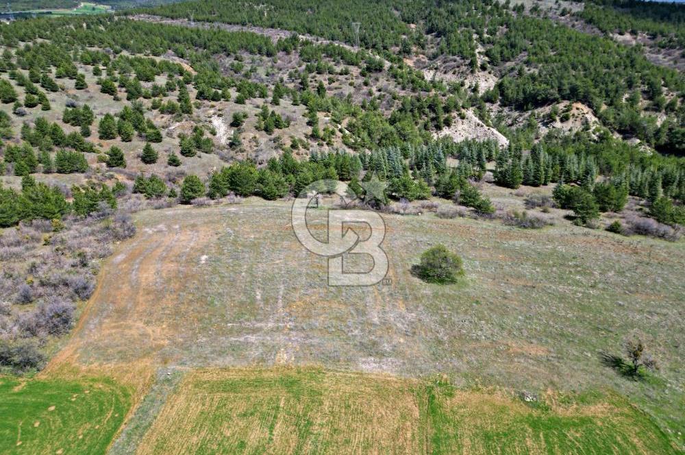 CB OPİA'DAN '' ÇEVRE MAH. 3.706 m² FIRSAT TARLA ''