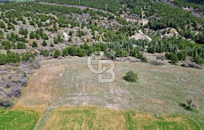 CB OPİA'DAN '' ÇEVRE MAH. 3.706 m² FIRSAT TARLA ''