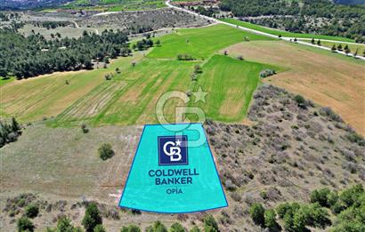 CB OPİA'DAN '' ÇEVRE MAH. 3.706 m² FIRSAT TARLA ''