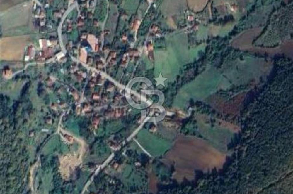 Şile Çengillide İçinde Havuzlu Evi Olan Yatırımlık Arsa