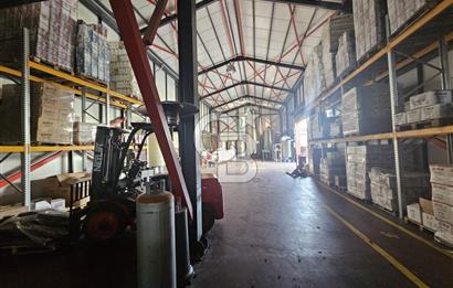 YALOVA TAŞKÖPRÜDE KİRALIK SANAYİ İMARLI HANGAR DEPO!