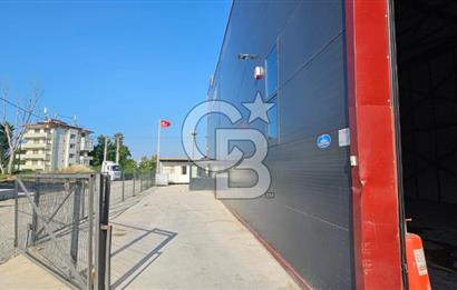 YALOVA TAŞKÖPRÜDE KİRALIK SANAYİ İMARLI HANGAR DEPO!