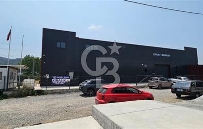 YALOVA TAŞKÖPRÜDE KİRALIK SANAYİ İMARLI HANGAR DEPO!